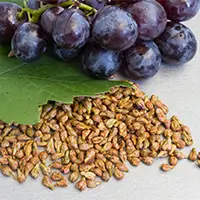 hearing aid - grapes seed